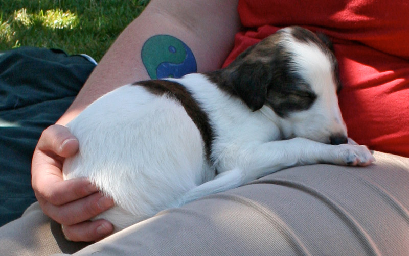Surf Spots Boy 1 - Sleep